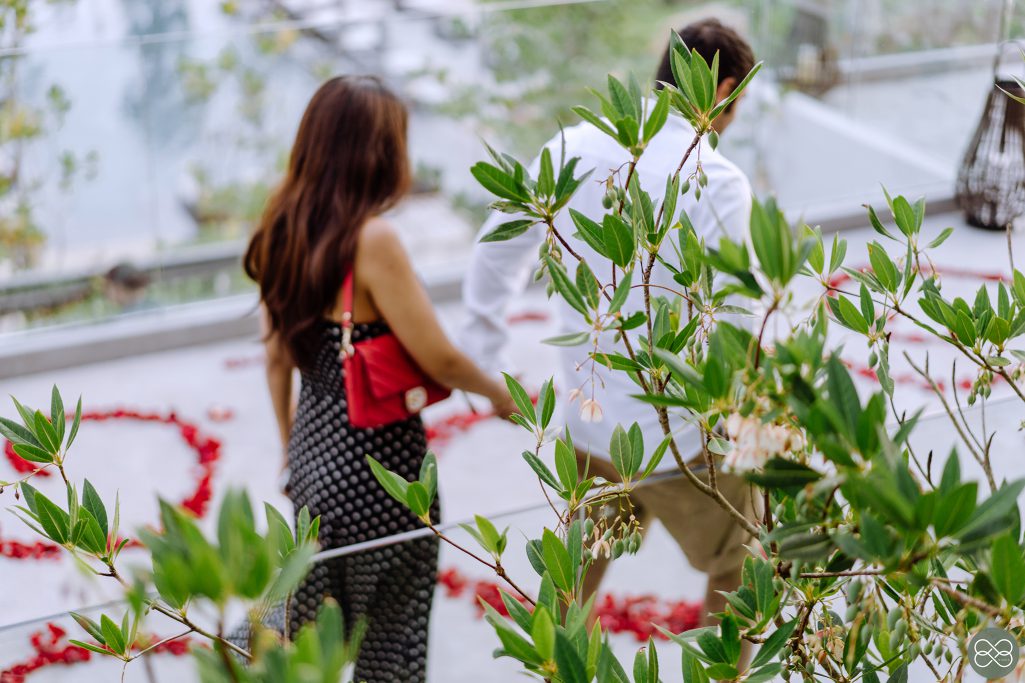 Banyantree Krabi, Krabi photographer, Krabi photography, Krabi wedding photographer, surprise proposal, surprise proposal at Banyantree Krabi, surprise proposal at Krabi, ขอแต่งงานที่Banyantree กระบี่, ขอแต่งงานที่กระบี่, ขอแต่งงานที่บันยันทรีกระบี่, ขอแต่งงานริมทะเล, ช่างภาพกระบี่, ช่างภาพถ่ายรูปสวยๆในกระบี่, ช่างภาพที่ถ่ายรูปสวยๆเหมือนดาราในกระบี่, ช่างภาพฝีมือดีกระบี่, ช่างภาพมืออาชีพ กระบี่, ช่างภาพราคาถูก กระบี่, ถ่ายรูปสวยๆในกระบี่, บันยันทรี กระบี่, บันยันทรีกระบี่, ภาพขอแต่งงานที่กระบี่, หาช่างภาพ ถ่ายภาพส่วนตัวในจังหวัดกระบี่, หาช่างภาพกระบี่ ถ่ายภาพครอบครัว, หาช่างภาพถ่ายภาพขอแต่งงาน, หาช่างภาพถ่ายภาพครอบครัวริมทะเล กระบี่, หาช่างภาพถ่ายภาพที่บันยันทรีกระบี่, หาช่างภาพถ่ายรูปครอบครัวริมชายหาด ในกระบี่, หาช่างภาพถ่ายรูปที่โรงแรมบันยันทรี กระบี่, หาช่างภาพฝีมือดี กระบี่, หาช่างภาพมาถ่ายรูปครอบครัวที่บันยันทรีกระบี่, หาช่างภาพมาถ่ายรูปที่โรงแรม กระบี่, หาช่างภาพมืออาชีพในกระบี่, หาช่างภาพราคาถูก ในกระบี่, หาช่างภาพในกระบี่, หาช่างภาพในจังหวัดกระบี่, โรงแรมบันยันทรี กระบี่